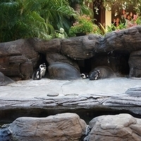 2013.07.22-312.JPG