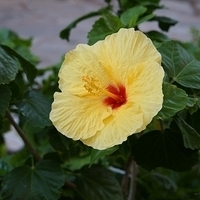 2013.07.22-313.JPG