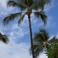 2013.07.23-016.JPG