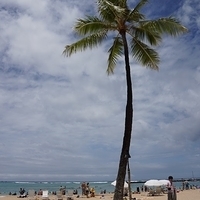 2013.07.23-024.JPG