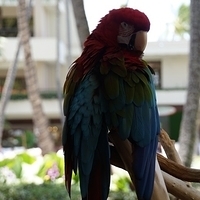 2013.07.24-040.JPG