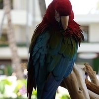 2013.07.24-041.JPG