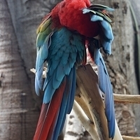 2013.07.24-042.JPG