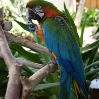 2013.07.24-043.JPG
