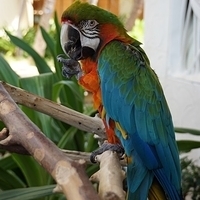 2013.07.24-044.JPG