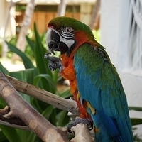 2013.07.24-045.JPG