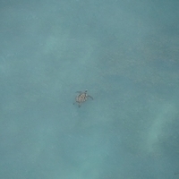 2013.07.26-333.JPG