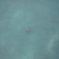 2013.07.26-334.JPG