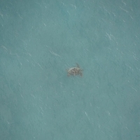 2013.07.26-335.JPG