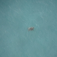 2013.07.26-336.JPG