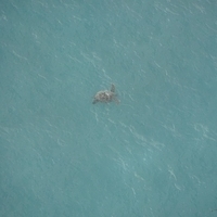 2013.07.26-337.JPG