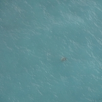2013.07.26-338.JPG