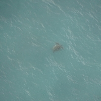 2013.07.26-339.JPG