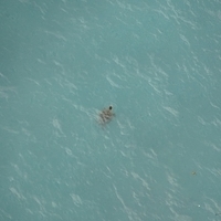 2013.07.26-341.JPG