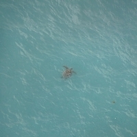 2013.07.26-342.JPG