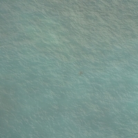 2013.07.26-346.JPG