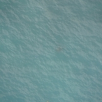 2013.07.26-347.JPG