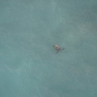 2013.07.26-349.JPG