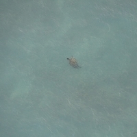 2013.07.26-350.JPG