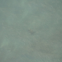 2013.07.26-351.JPG