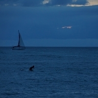 2013.07.26-370.JPG