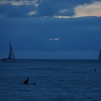 2013.07.26-371.JPG