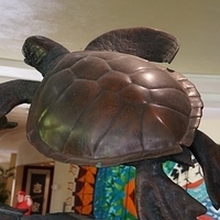 2013.07.27-002.JPG