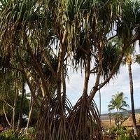 2013.07.21-409.JPG