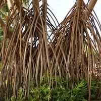 2013.07.21-410.JPG