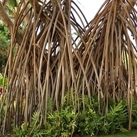 2013.07.21-411.JPG