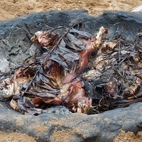 2013.07.21-495.JPG
