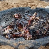 2013.07.21-496.JPG