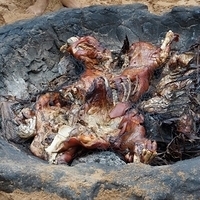 2013.07.21-499.JPG