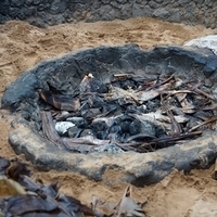 2013.07.21-510.JPG