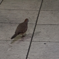 2013.07.19-030.JPG