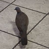 2013.07.19-057.JPG