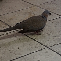 2013.07.19-059.JPG