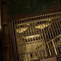 2013.07.25-096.JPG