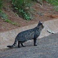 2013.07.25-385.JPG