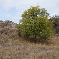 2013.07.26-024.JPG