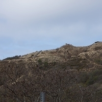 2013.07.26-025.JPG