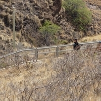 2013.07.26-101.JPG