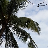2013.07.22-021.JPG