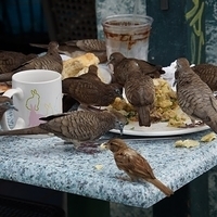 2013.07.22-245.JPG