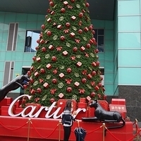 2013.12.25-027.JPG