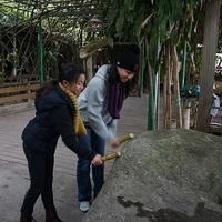 2013.12.27-165.JPG