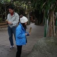 2013.12.27-176.JPG