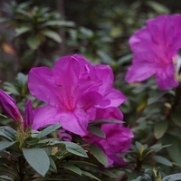 2013.12.27-315.JPG