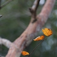 2013.12.27-316.JPG