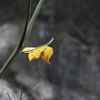 2013.12.27-341.JPG